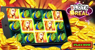 18 brl bet